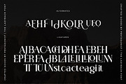 The Ladybach | Elegant Serif, a Serif Font by Pentagonistudio (Thumbnail 9 of 10)