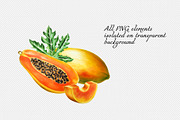 Papaya clipart in botanical style, a Food Illustration by Navenzeles (Thumbnail 7 of 12)