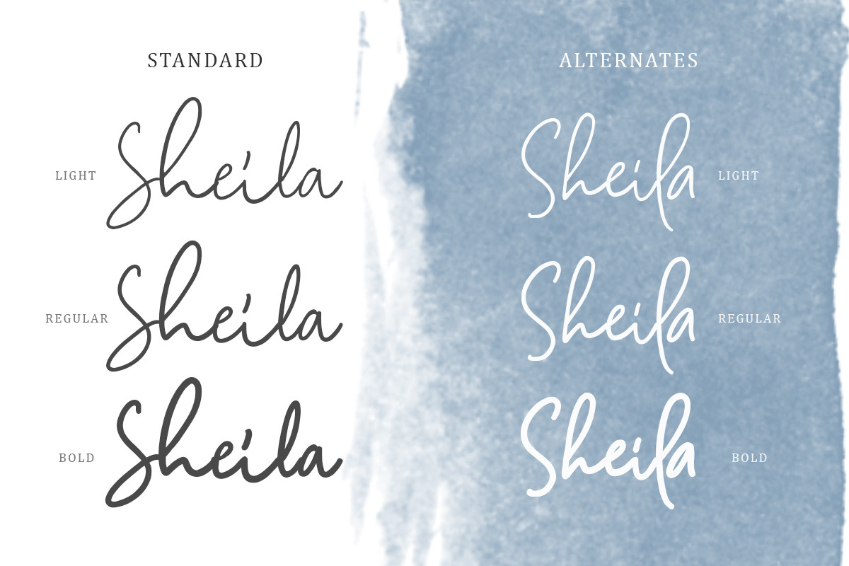 Camilla - Signature Script (6 Fonts) preview 3