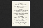 The Romantic Font, a Handwritten Font by Nicky Laatz (Thumbnail 7 of 20)