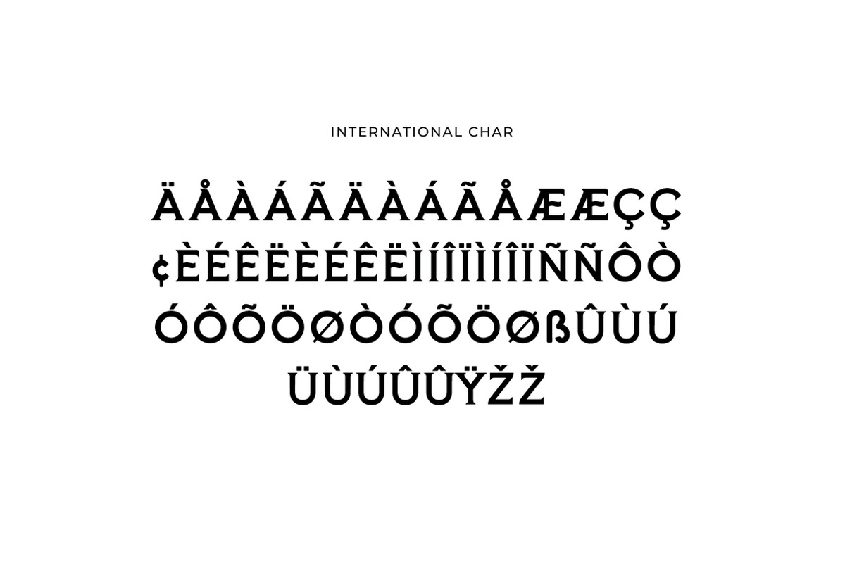 Frozenca Modern Serif Display Font, a Serif Font by UICreative (Photo 10 of 12)