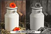 Leica Monochrom Profiles, a Plug-in Add-On by Raztrend (Thumbnail 24 of 31)