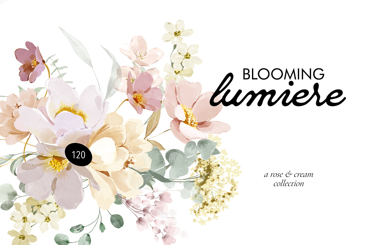 Lumiere - Rose & Cream Florals, an Illustration by Isabelle Salem (Photo 1 of 15)