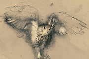Hand Drawn Photoshop Action, an Action Add-On by Sevenstyles (Thumbnail 8 of 13)