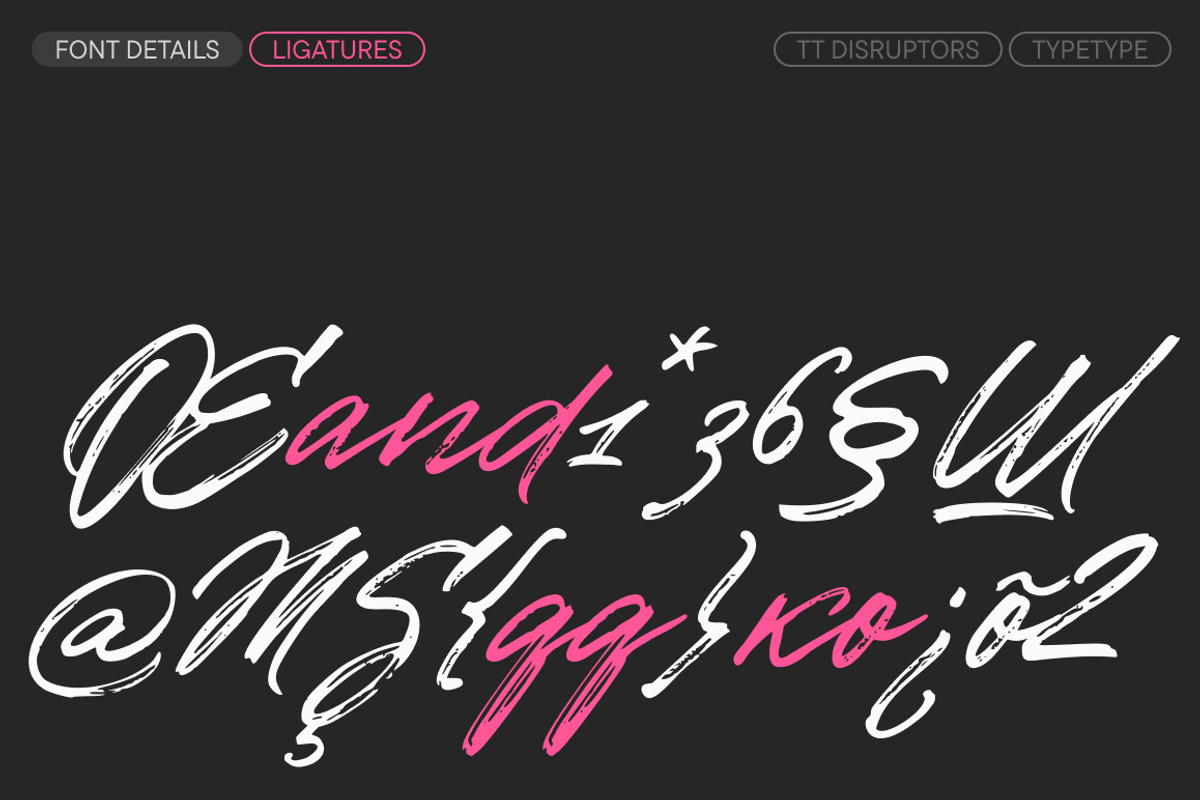 TT Disruptors, a Script Font by TypeType (Photo 5 of 12)