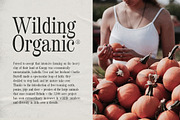 Wildest - Classical Serif, a Serif Font by Tammami (Thumbnail 4 of 9)