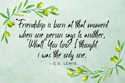 Olive, a Script Font by Omotu Studio (Thumbnail 5 of 8)