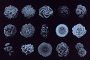 Elegant Floral Photoshop Brushes, a Brush Add-On by Milka (Thumbnail 3 of 10)