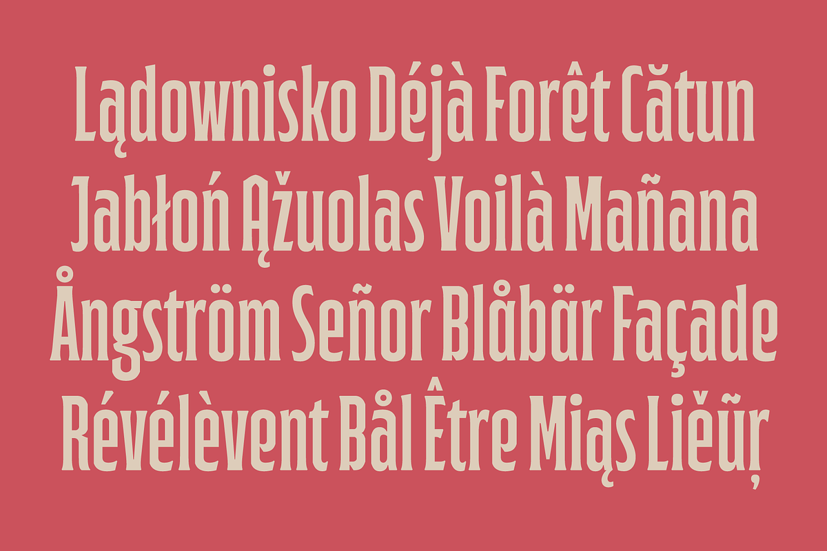 Anantikos Serif Typeface, a Serif Font by Frantic Disorder (Photo 8 of 10)