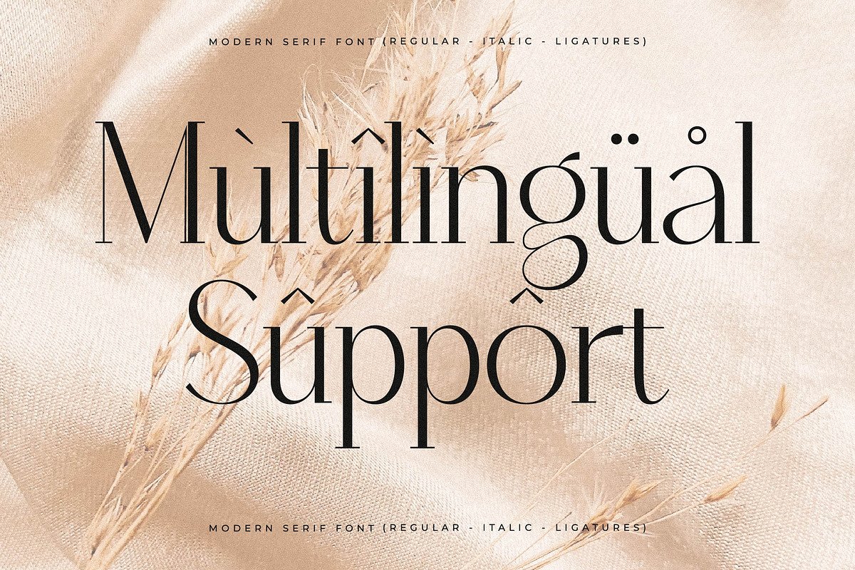 Qenliago Modern Serif Font, a Serif Font by Storytype Studio (Photo 12 of 15)