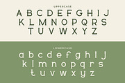 Delavine - Modern Serif Font, a Serif Font by Mily Studio (Thumbnail 5 of 15)