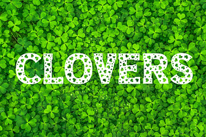 Clover Love St Patrick's Day Font