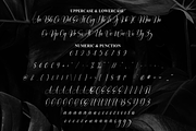 Nothing | Script Font, a Handwritten Font by Scratchones (Thumbnail 7 of 9)