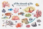 Coral Reef Watercolor Clipart, an Animal Illustration by Nastya Che (Thumbnail 2 of 14)