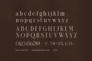 Clasina Elegant Serif Font, a Serif Font by Elegant Font (Thumbnail 7 of 8)