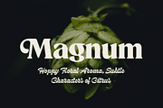 Beckenham Retro Serif, a Font by Fenotype (Thumbnail 13 of 14)