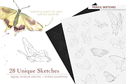 Butterfly Watercolor & Sketches, a Texture Illustration by plaidGecko (Thumbnail 3 of 5)