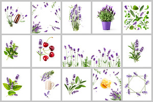 Lavender Herb Photo Pack