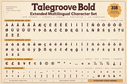 Talegroove Bold – Retro Serif Font, a Serif Font by Designertale (Thumbnail 9 of 10)