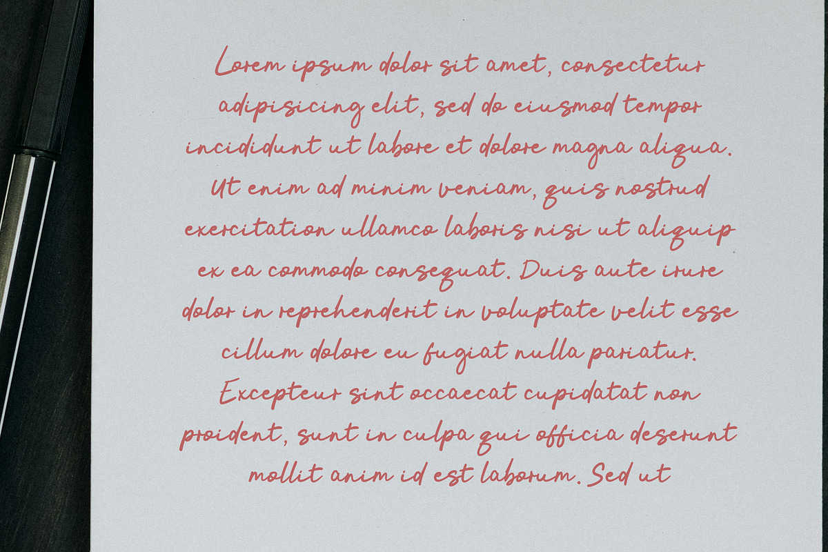 Hibiscus - Bold script font, a Handwritten Font by Fontcastle (Photo 5 of 5)