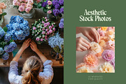 50 Florist Stock Photos, a Nature Photo by Incomelion (Thumbnail 7 of 9)