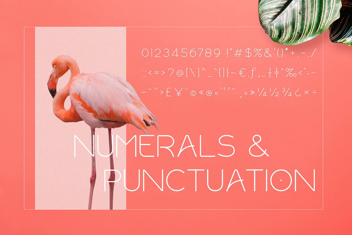 Rollgates Modern Sans preview 8