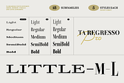 TA Regresso Text, a Serif Font by TAFT Foundry (Thumbnail 21 of 21)