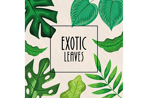 Exotic Leaves Lettering