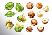 Huzelnuts. Watercolor collection, a Food Illustration by Daria Ustiugova (Thumbnail 19 of 23)