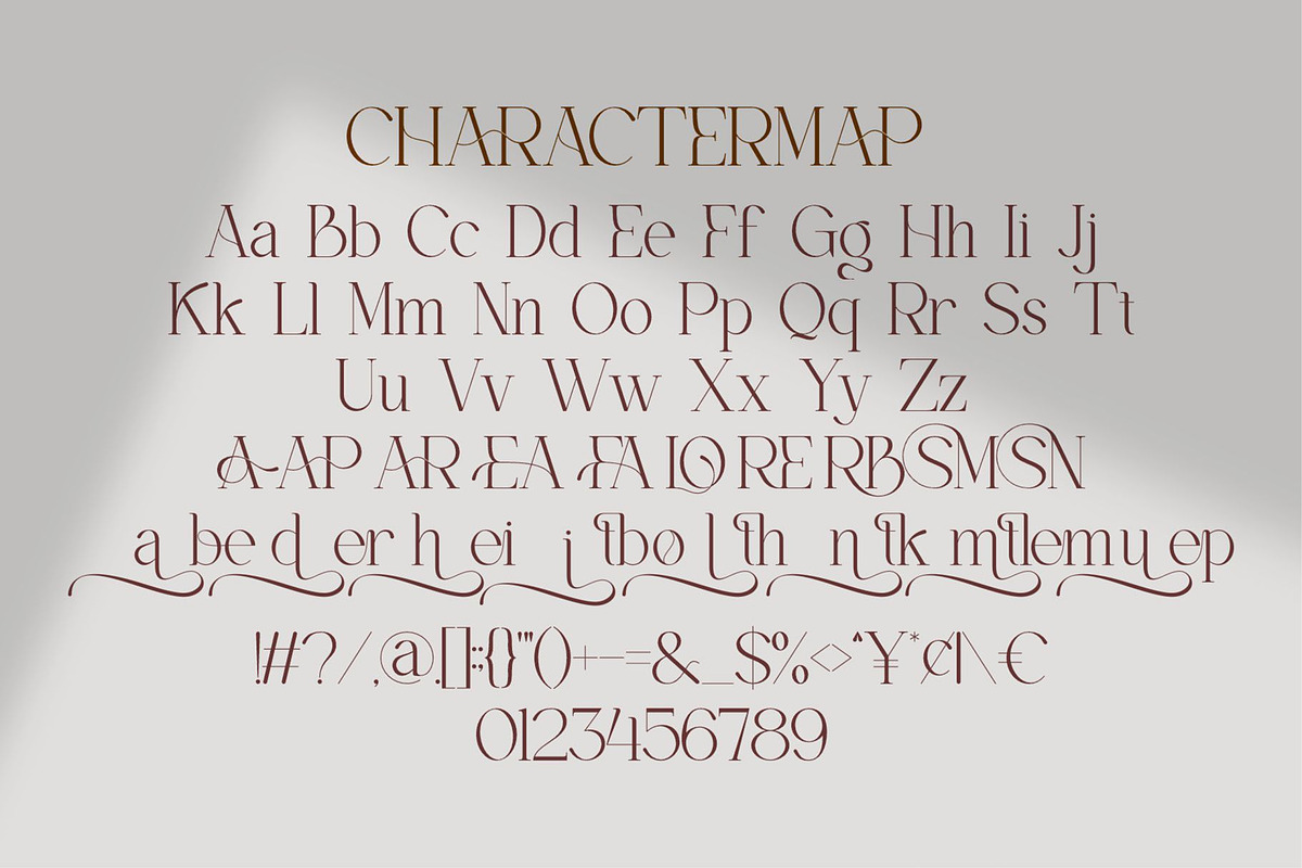 Qioner || Modern Minimalist Serif, a Serif Font by Ermedia Studio (Photo 10 of 10)