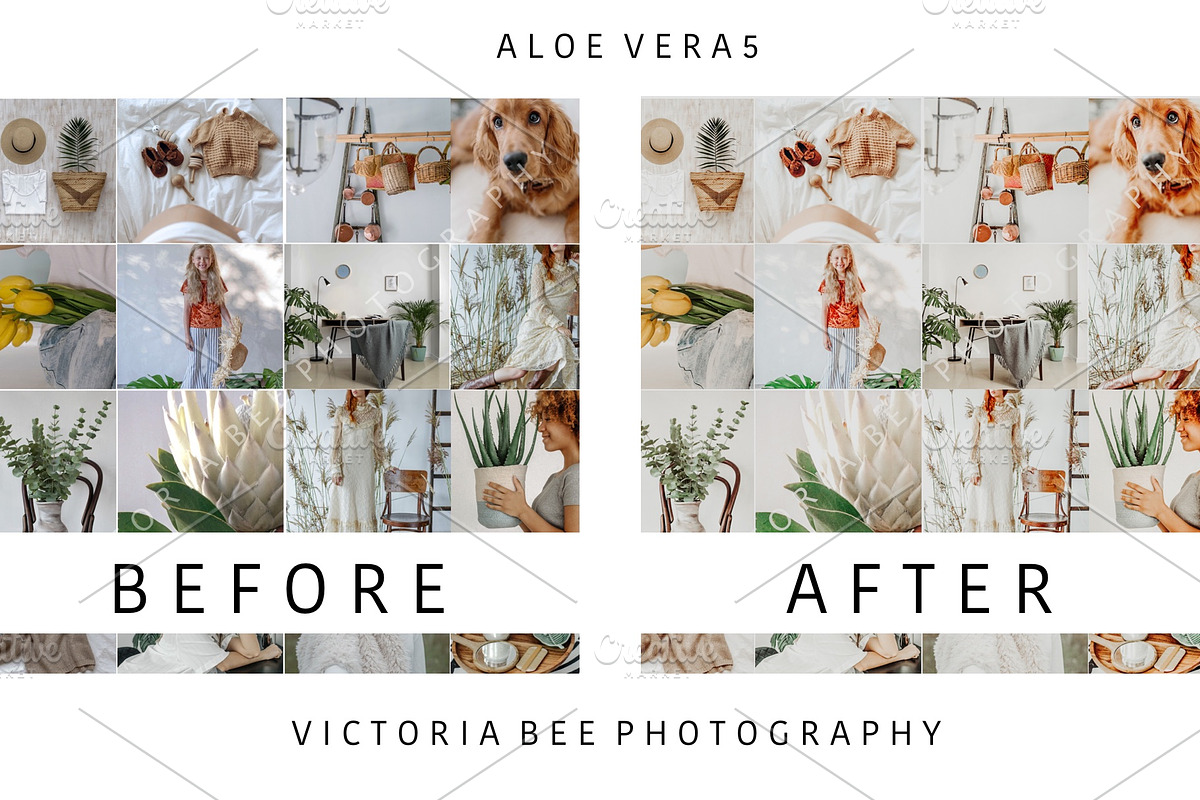 5 Mobile Presets ALOE VERA, an Action Add-On by Victoria Bee Presets (Photo 10 of 10)