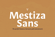 Mestiza Sans, a Sans Serif Font by Lechuga Type (Thumbnail 1 of 19)
