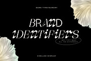 Cholleo Display, a Serif Font by Dora Typefoundry (Thumbnail 9 of 18)