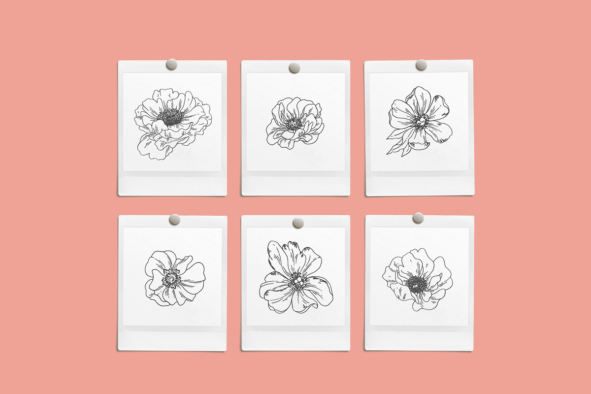 Peonies Vector Illustrations, a Decorative Illustration by Emma Webb Studio (Photo 6 of 9)