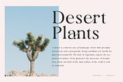 Roserri - Modern Ligature Serif, a Serif Font by Vesvocrea (Thumbnail 10 of 15)