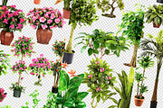 Plant Leaves Foliage Mega Pack, an Object Graphic by Sladedesign (Thumbnail 5 of 5)