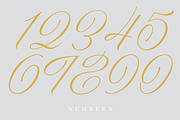 Actalle Calligraphy Font, a Script Font by Andfonts (Thumbnail 6 of 7)