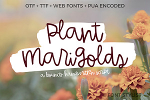 Plant Marigolds Script, a Script Font by Katie Hill