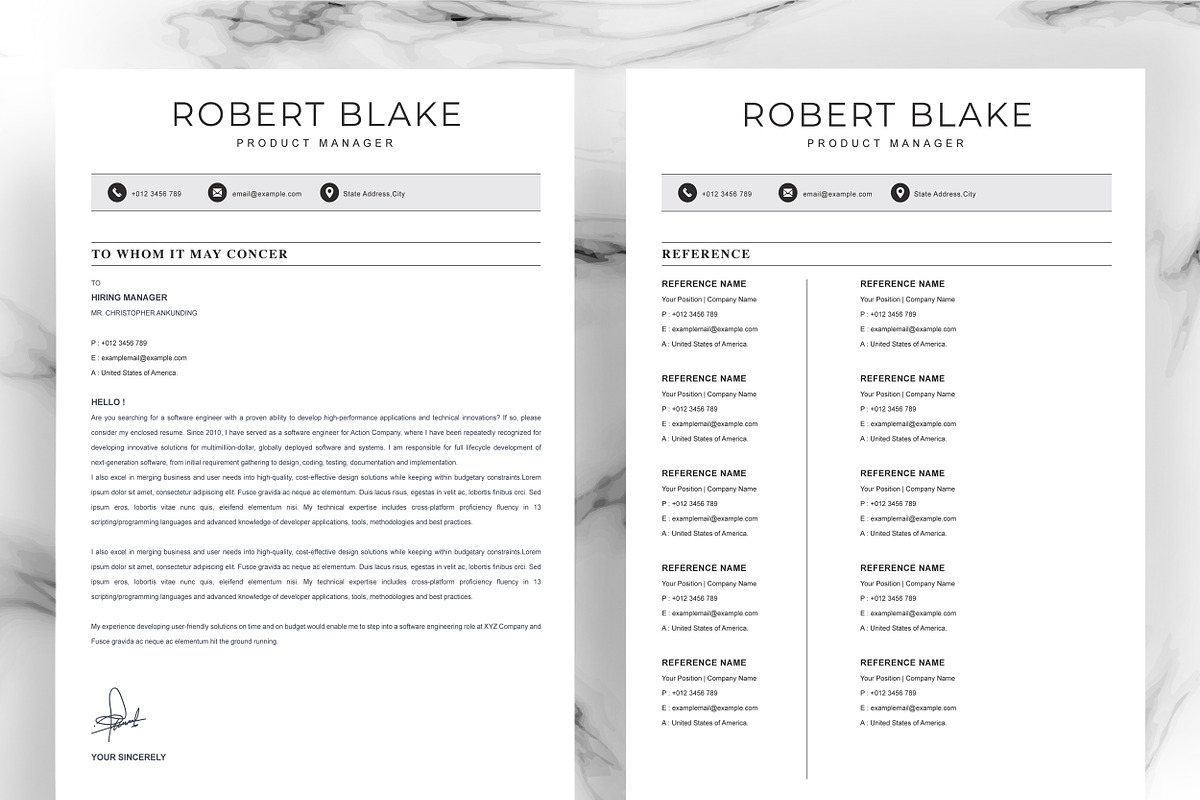 JOB WINNING RESUME - 50 TEMPLATES, a Resume Template by ResumeInventor (Photo 79 of 184)