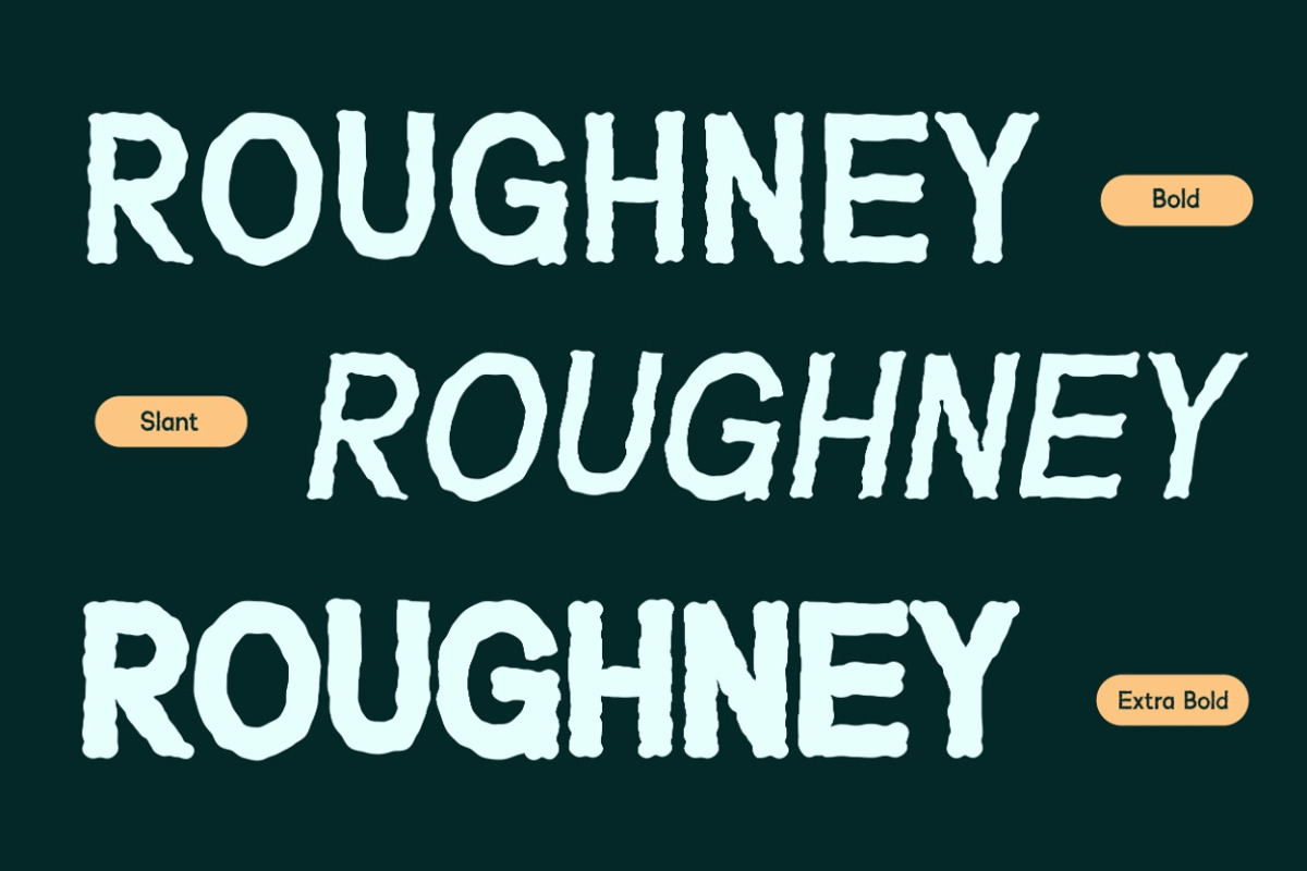 VT Roughney - Handdrawn Font, a Sans Serif Font by ViactionType (Photo 4 of 14)