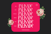 Hello Palisade Family, a Serif Font by Sans & Sons (Thumbnail 1 of 10)