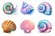 Ocean Sea Shell Sublimation Clipart, an Illustration by Dream Creation (Thumbnail 4 of 6)