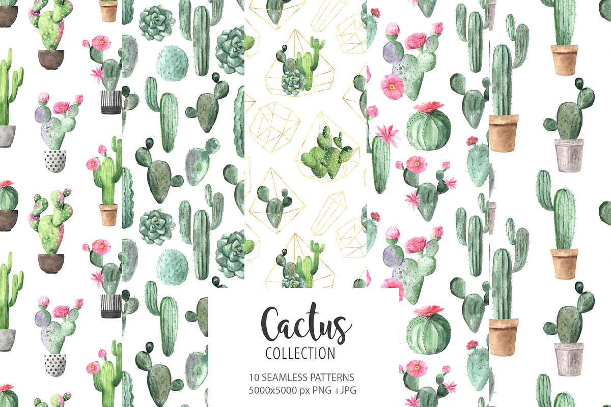 Watercolor Exotic Cactus Collection, a Texture Illustration by LarysaZabrotskaya (Photo 5 of 11)