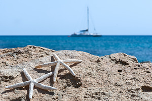 Sea sand rocks and starfish stock photo containing starfish and beach