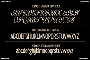 TAN - BOROUGHS, a Serif Font by TanType (Thumbnail 8 of 10)