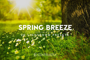 Spring Breeze Lightroom Presets