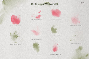 Watercolor Botanical Brushes PRO