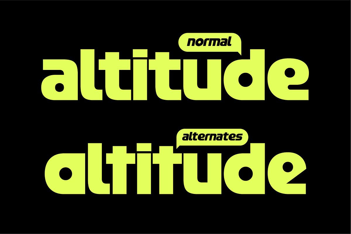 403 FEST, a Sans Serif Font by 403 Type Foundry (Photo 8 of 16)