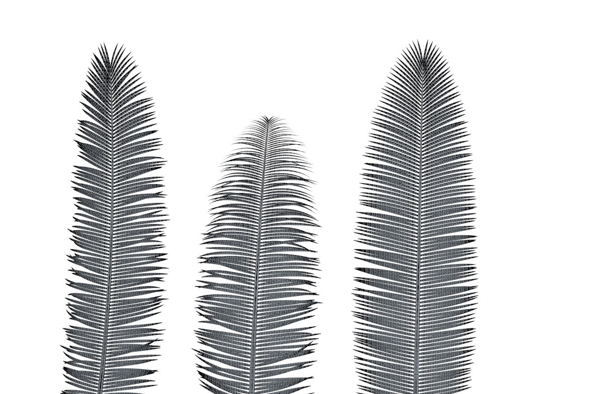 Palm branch, an Environmental 3D Model by AndrewWhite (Photo 9 of 10)