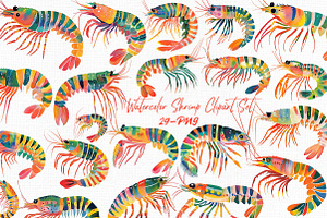 Watercolor Shrimp Clipart Set, an Illustration by Libby Wishes